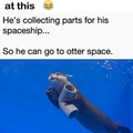 that's one brave astronotter.