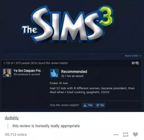 The Sims 3 - meme