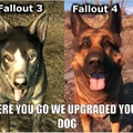upgraded dogs