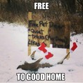 Free deer