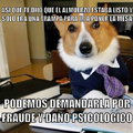 El perro de un abogado