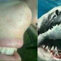 A boca desse cara parece um tubarão