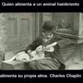 Charles Chaplin lo sabían