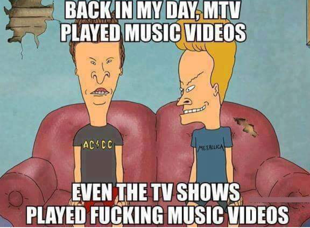 Yup. Who watched beavis and butthead? - meme
