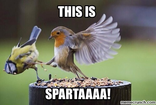 The best This Is Sparta memes :) Memedroid