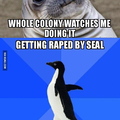 Poor penguin