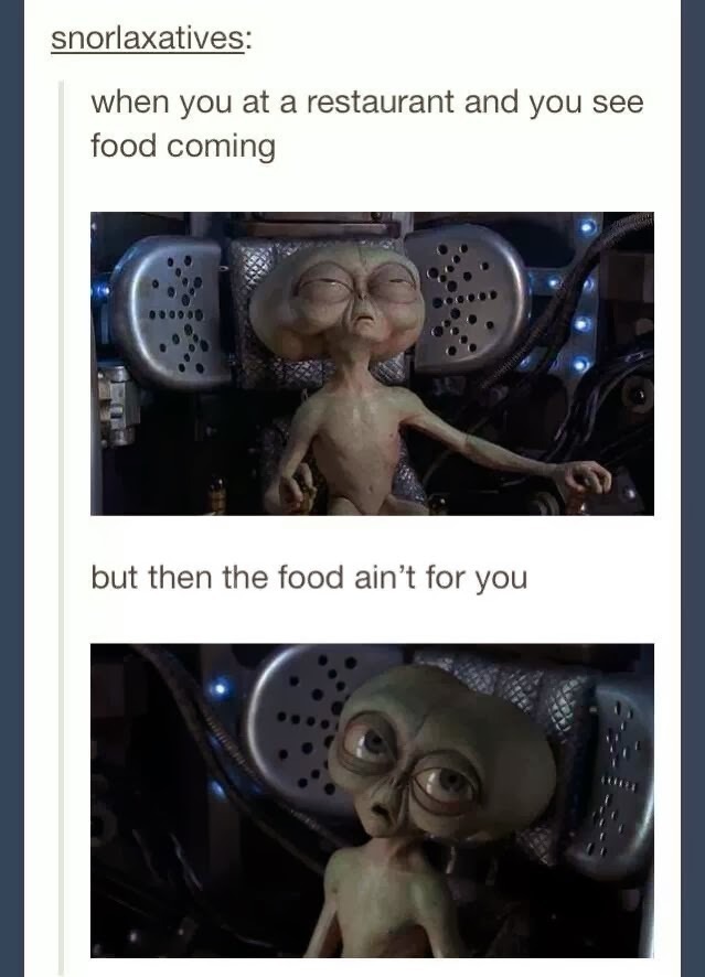 No food for you! - meme
