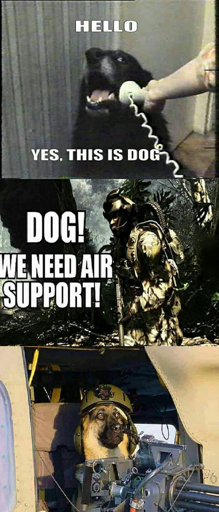 This is Dog... - meme
