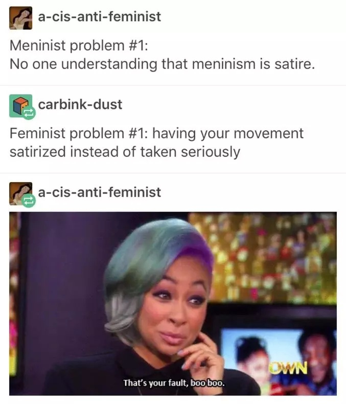 Rip Feminism - meme