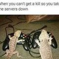 lizard squad can go fuck themselves with a cactus