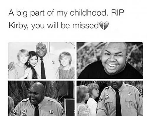 R.I.P Kirby you will be missed - meme
