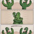 Desventajas de ser un cactus