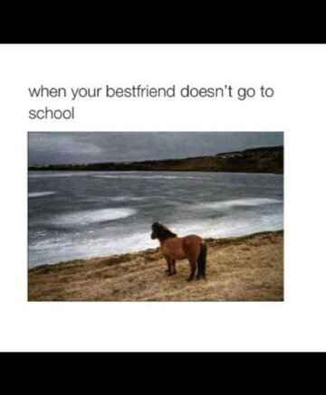 So lonely - meme