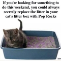 You're all kitty litter