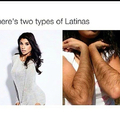 Two types of latinas