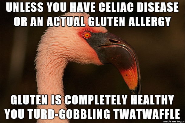 Eat all the gluten - meme