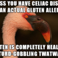 Eat all the gluten