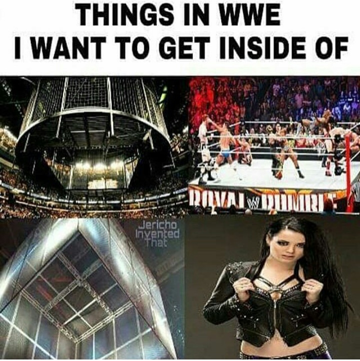Upvote if you think paige is hot - meme