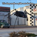 Spider made out of a bug