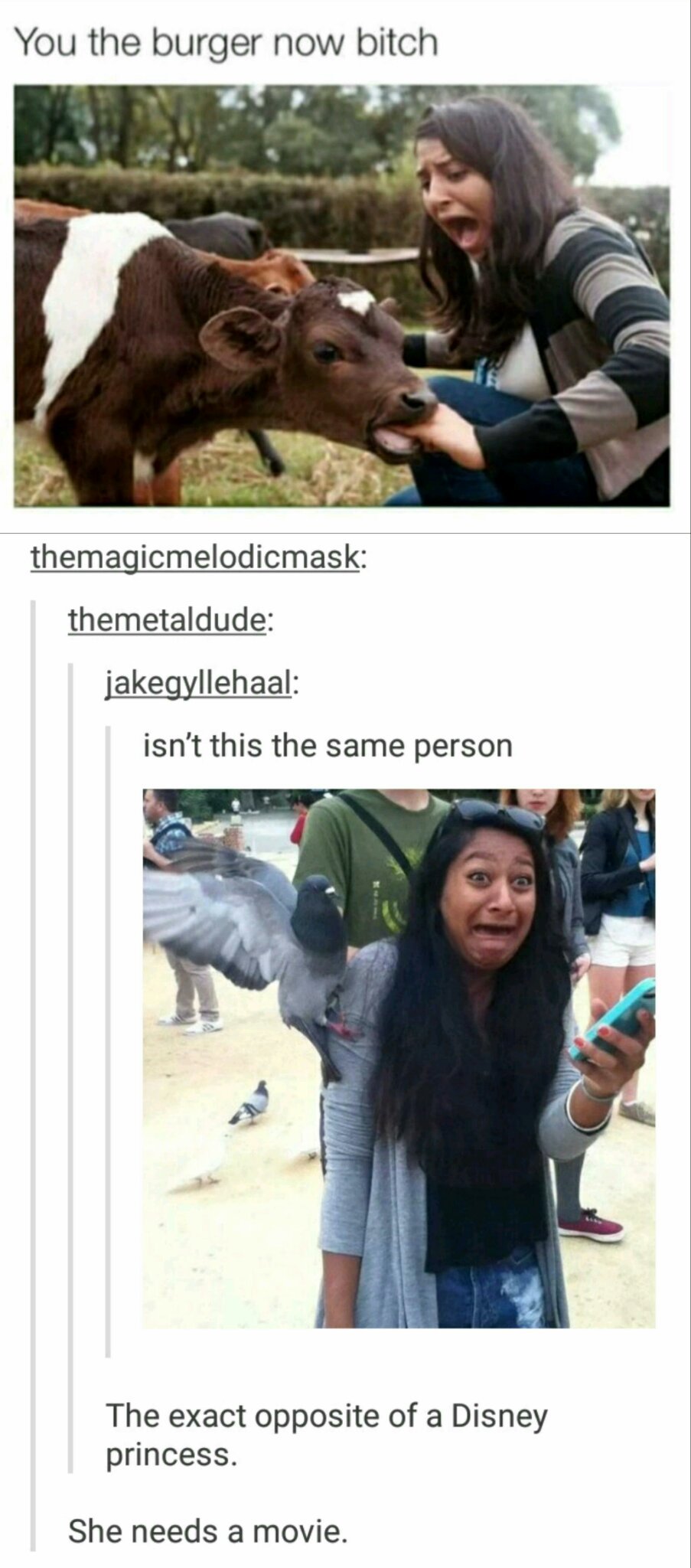3rd comment is as good with animals as this person - meme