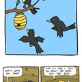 Birds and the bees.