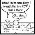 Don't worry a shark won't hurt you