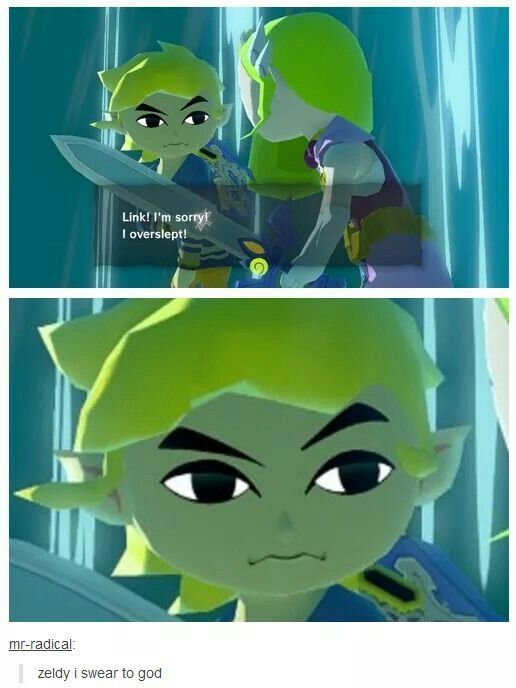 Really Zelda.. - meme