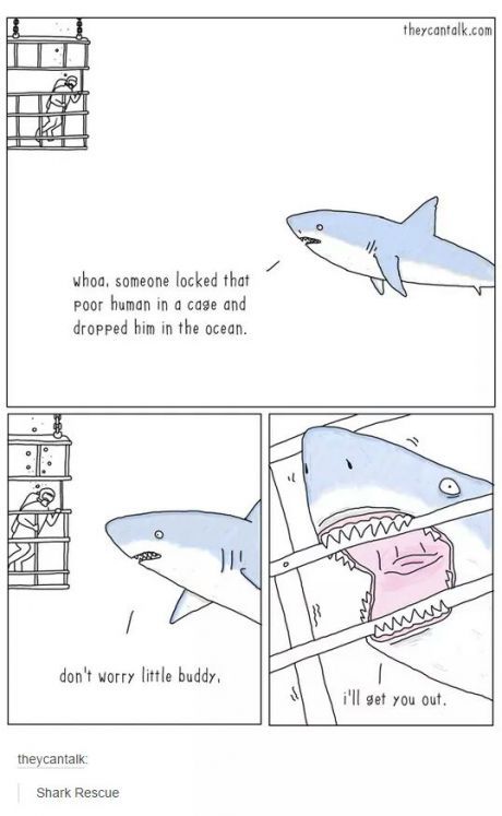 shark rescue - meme