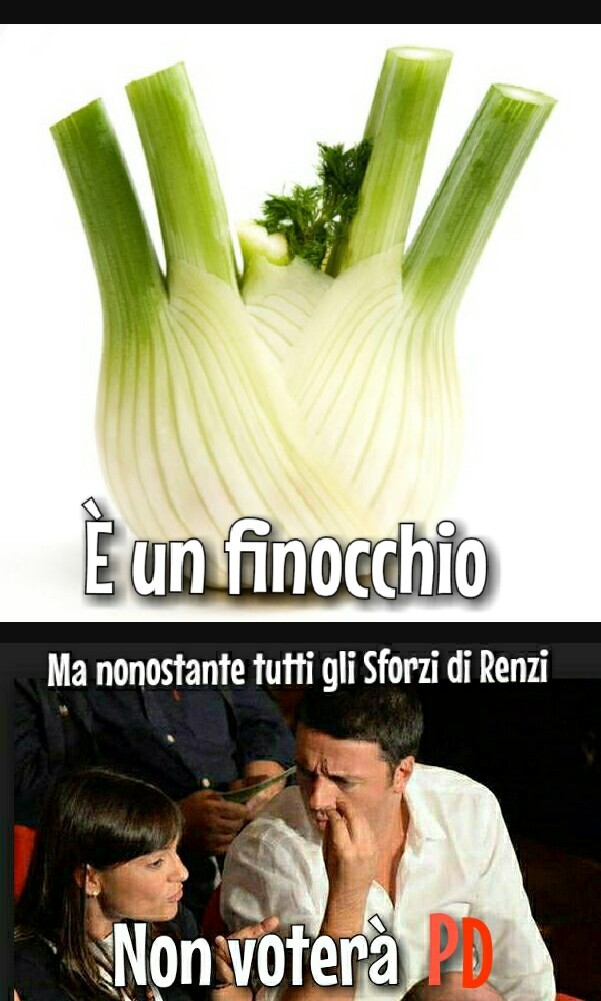 Gianni morandi: - 'caro Renzi, ricorda che la verdura non può votare' - meme