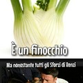 Gianni morandi: - 'caro Renzi, ricorda che la verdura non può votare'