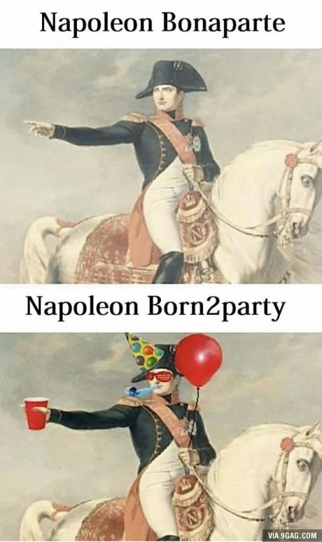 Party level : Napoleon Bonaparte - meme