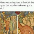 The horse knows