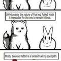 Rabbits are cool