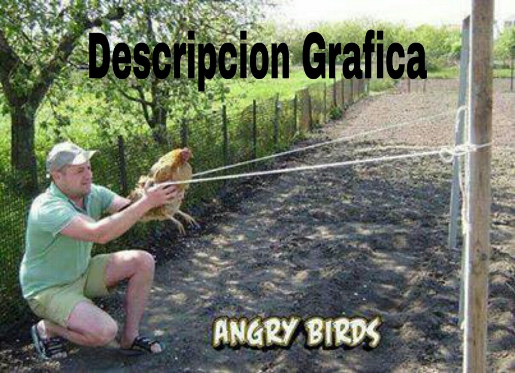 Angry birds:descripcion grafica - meme