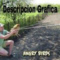 Angry birds:descripcion grafica