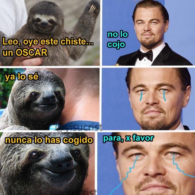 Jaja pobre Leo nunca le dan un Oscar - meme