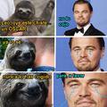 Jaja pobre Leo nunca le dan un Oscar