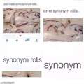 Synonym rolls are the best!