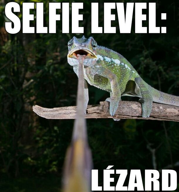 Selfie like a boss - meme