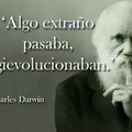 este Darwin es todo un lokillo
