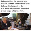 I praise this eagle