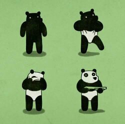 Pandas xD - meme