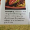 The venus flytrap is deadly