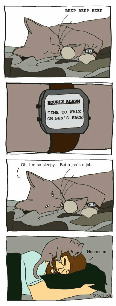 A jobs a job - meme
