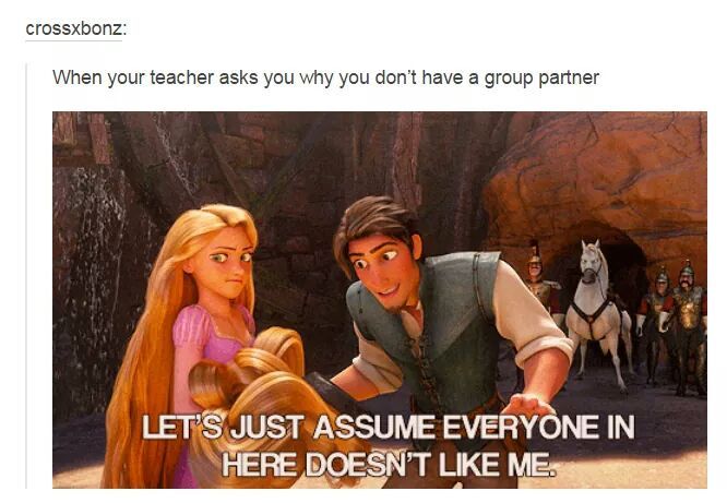 Group partners - meme