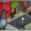 Visão dos pombos