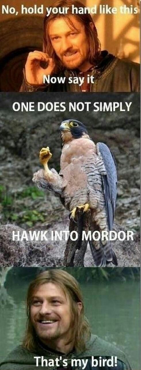 Hawk into mordor - meme