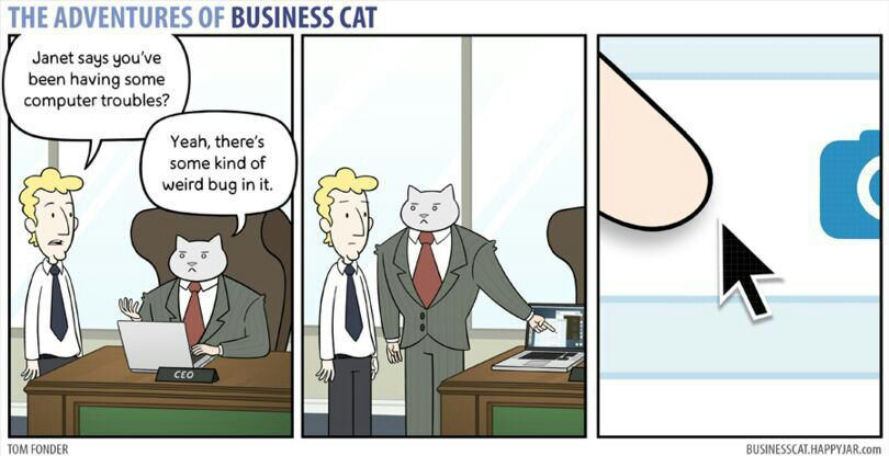 Business cat - meme