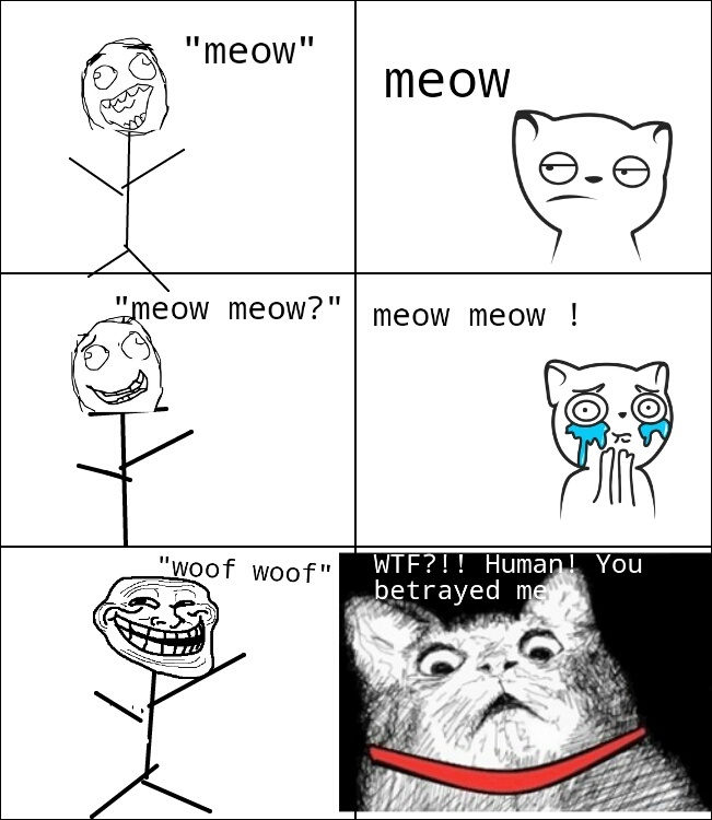 Cat troll!! ( the first rage comic I actually made, hope you like it) - meme