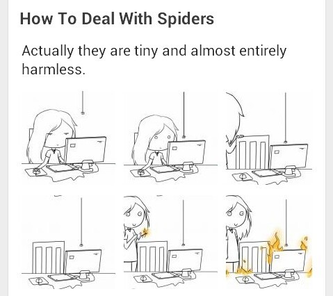 SPIDER - meme